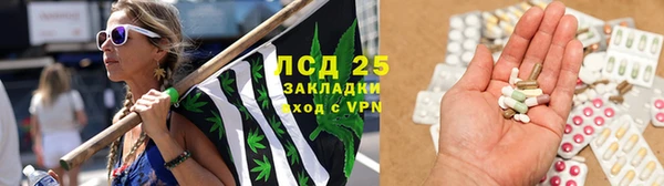 мескалин Алексин